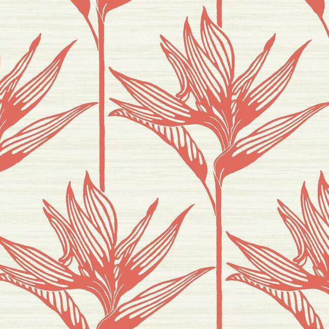 Seamless Pattern With Bird Of Paradise Background Wallpaper Image For Free  Download  Pngtree