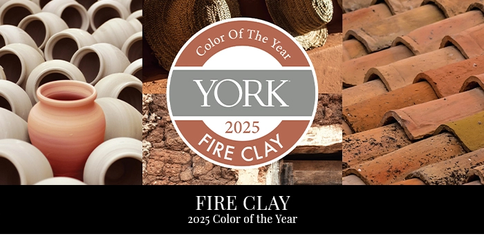 2025 Color of the Year